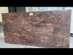 OLR1006 - 2/3 cm Slab di quarzo Proprietà antimicrobica e anti-colorazione